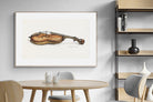 Pixalot Violin