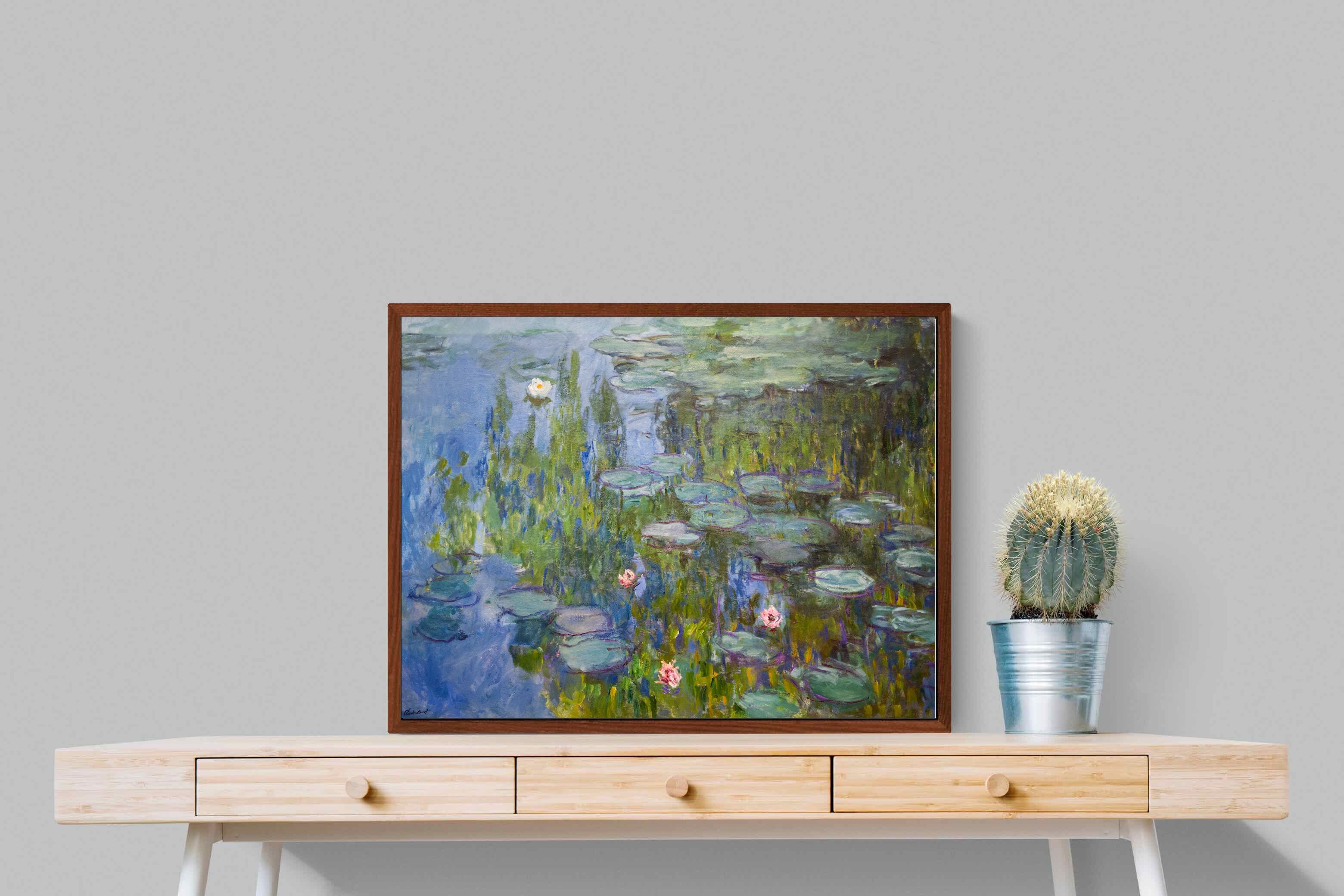 Pixalot Water Lilies (Nymphéas)