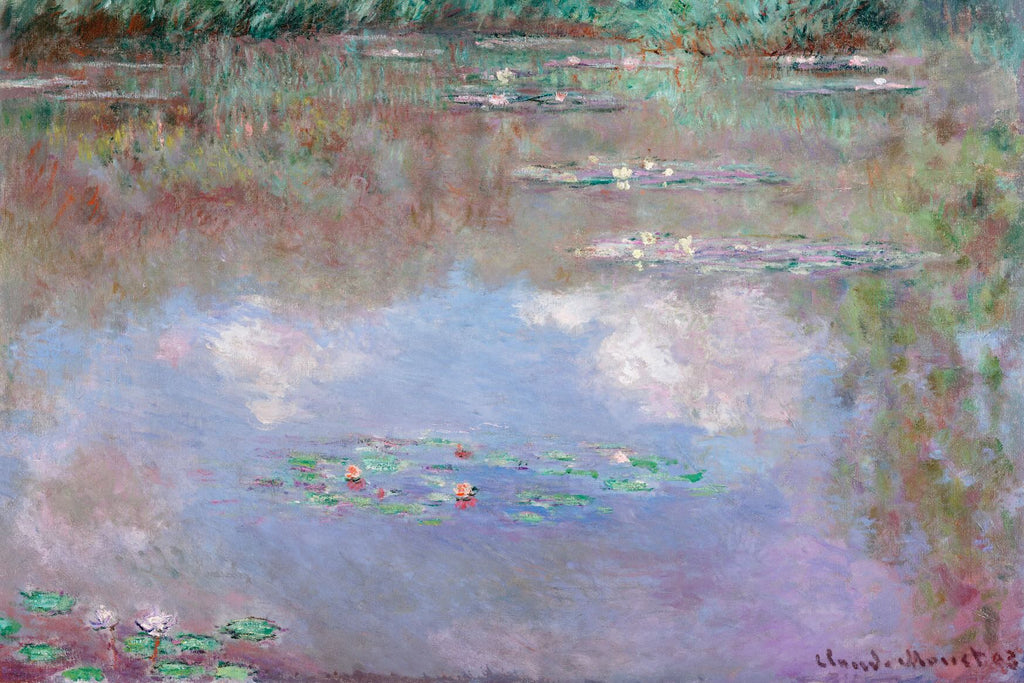 Water Lily Pond with Clouds