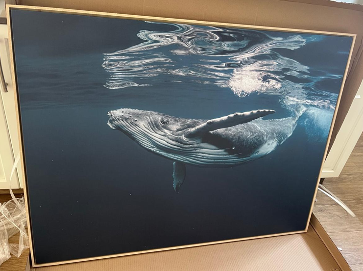 Whale | SALE