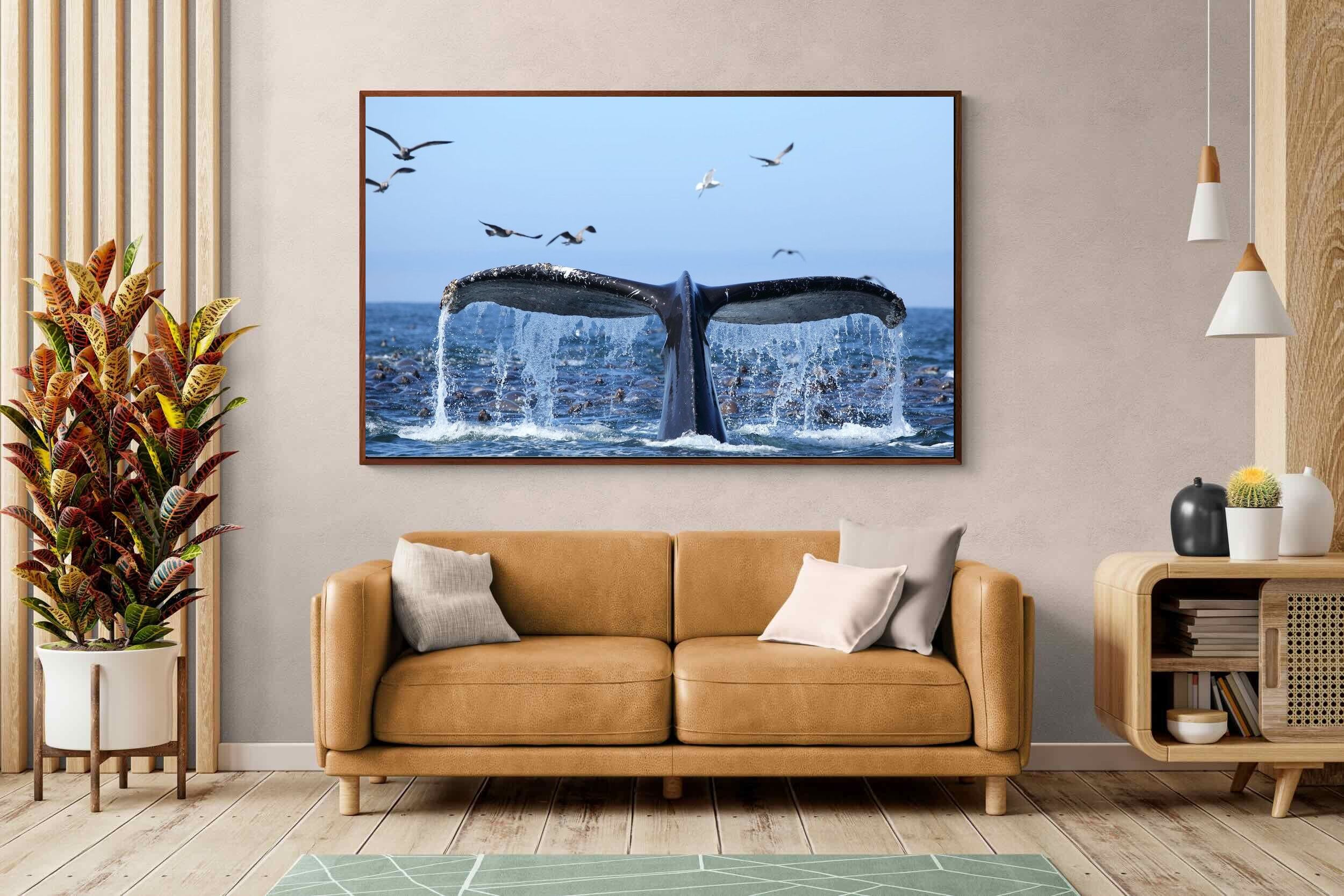 Pixalot ® Whale Tail