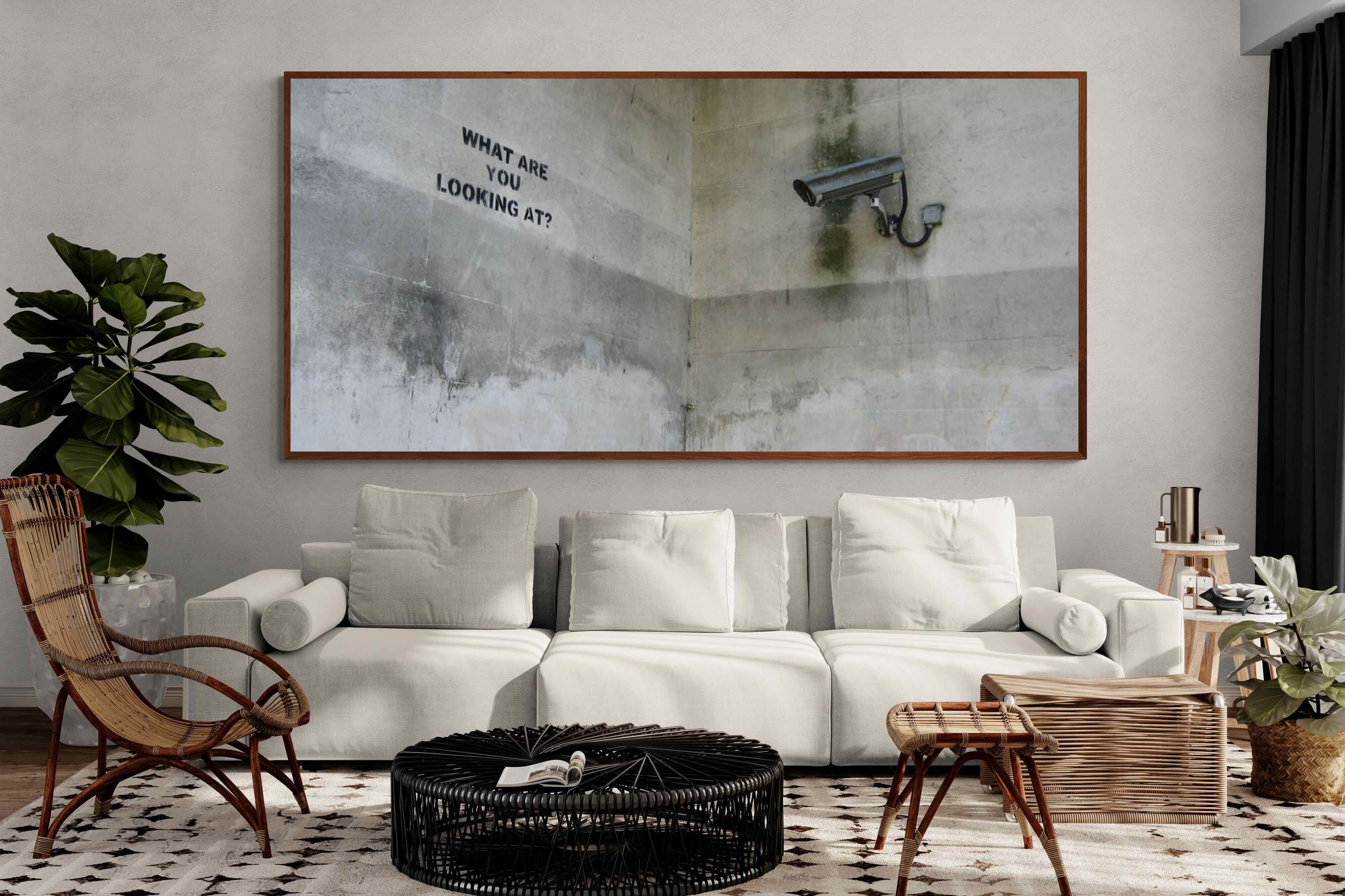 Pixalot What Are You Looking At