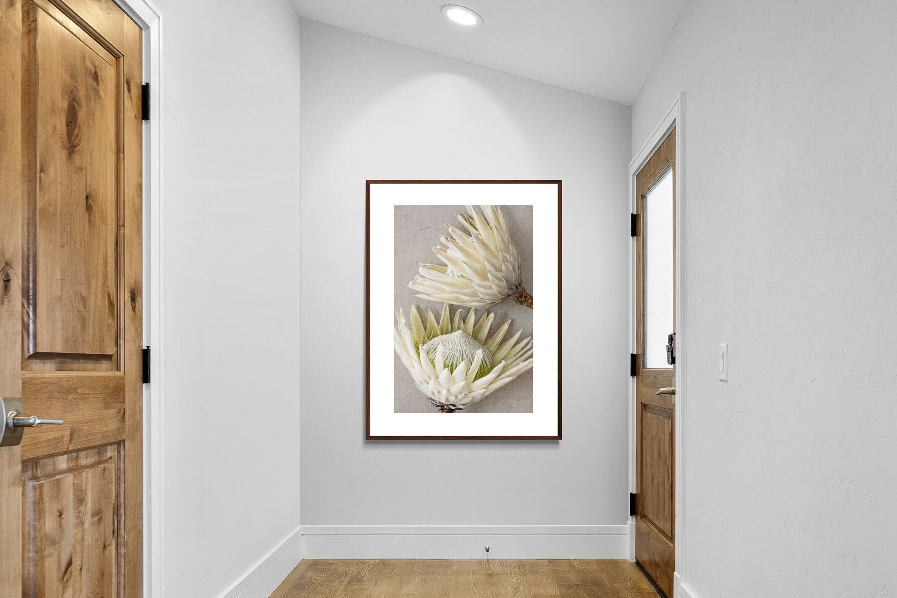 Pixalot White King Protea Pair