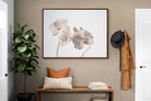 Pixalot ® White Moth Orchid