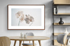 Pixalot ® White Moth Orchid