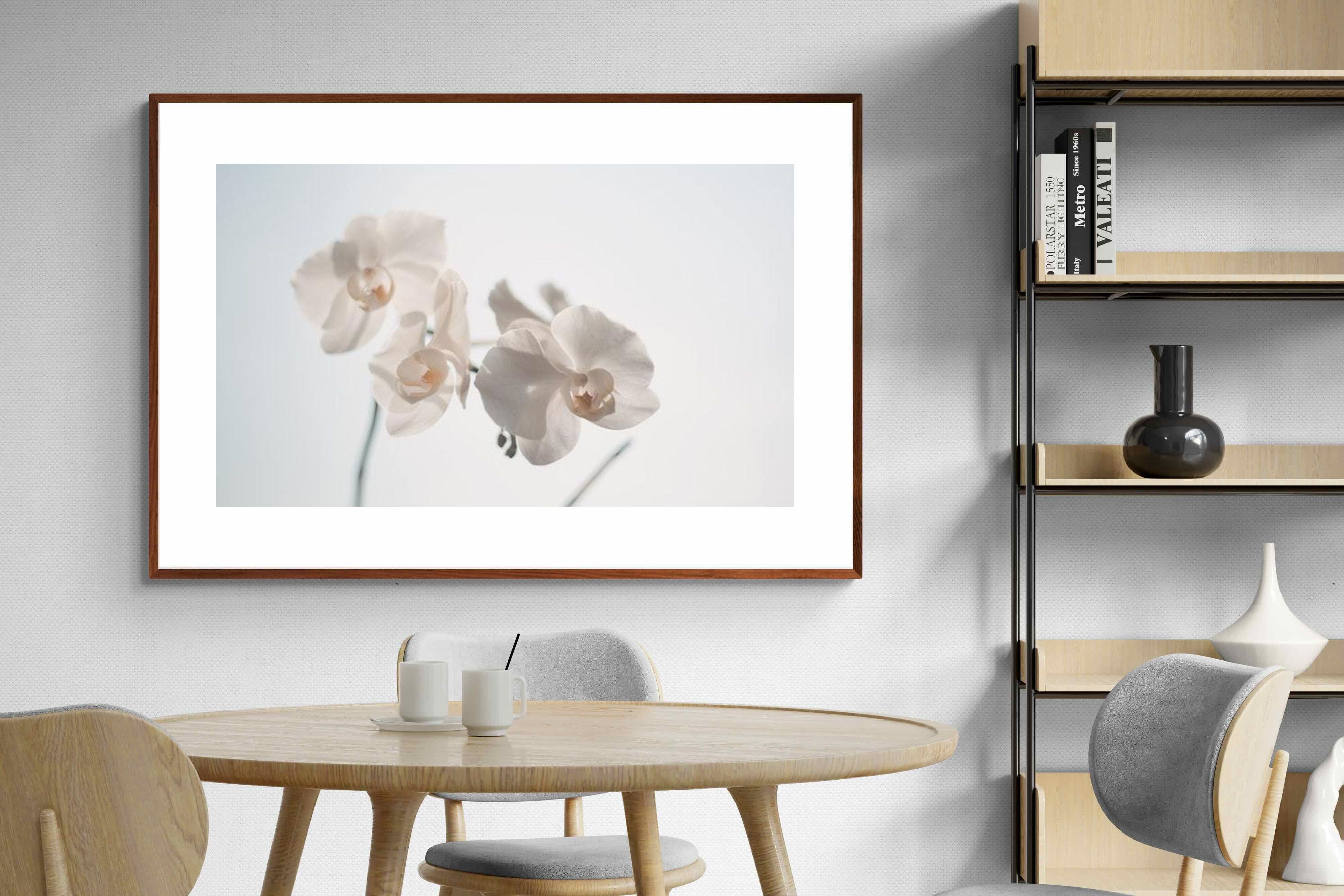 Pixalot ® White Moth Orchid