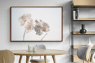 Pixalot ® White Moth Orchid