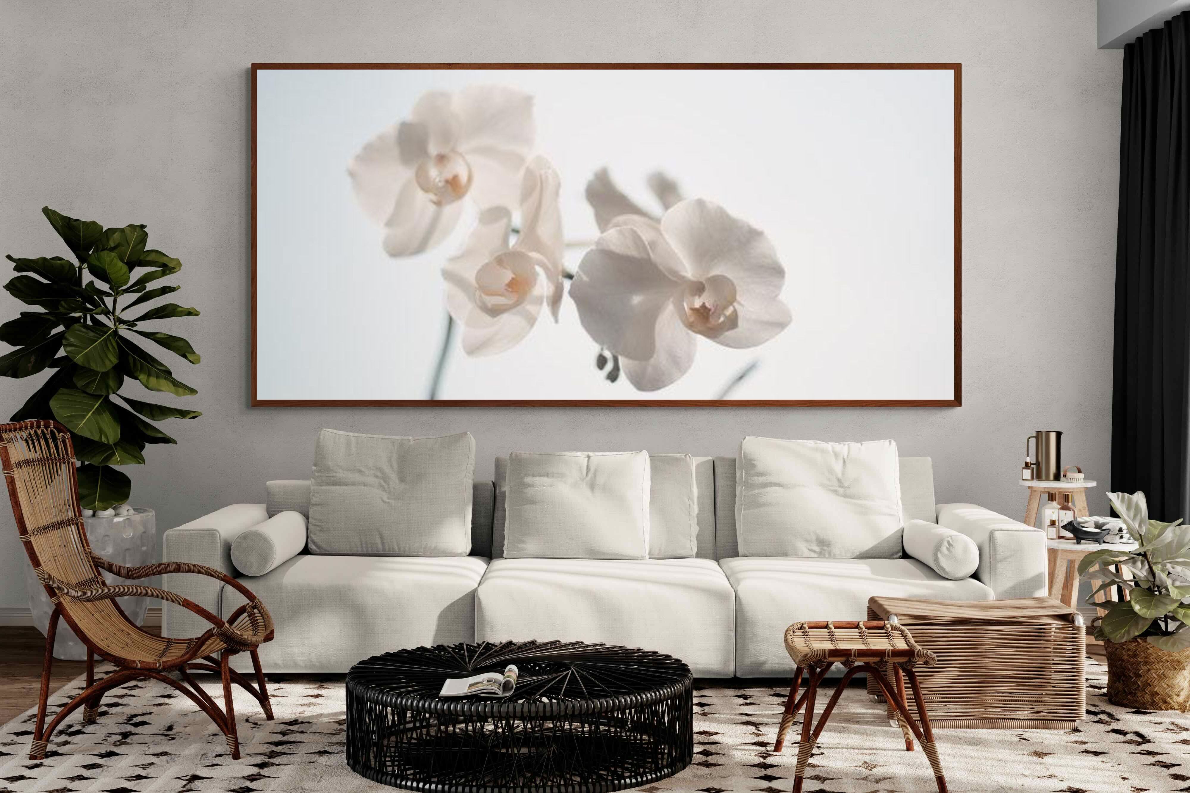 Pixalot ® White Moth Orchid