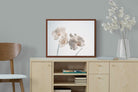 Pixalot ® White Moth Orchid