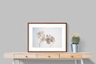 Pixalot ® White Moth Orchid