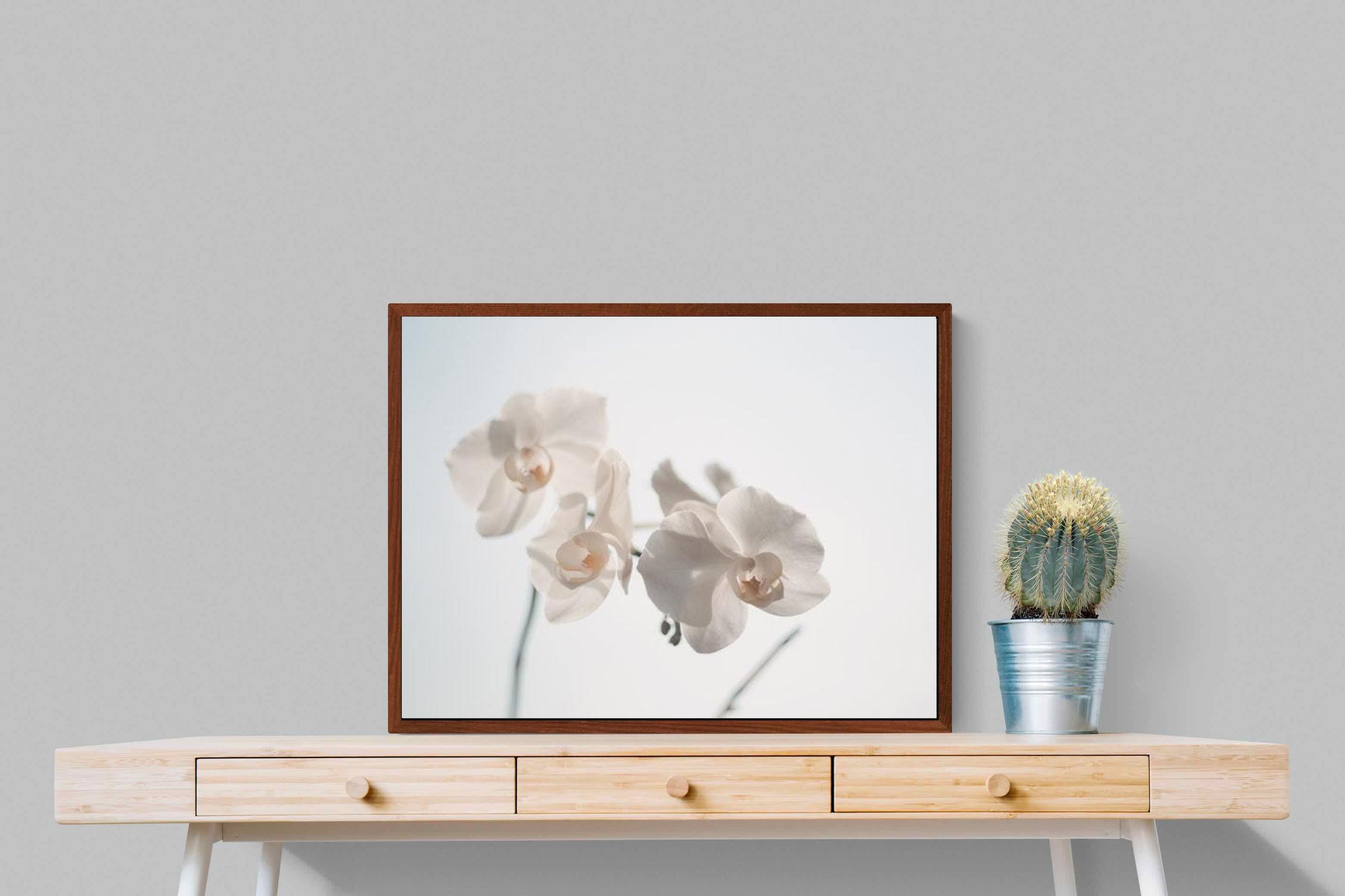 Pixalot ® White Moth Orchid