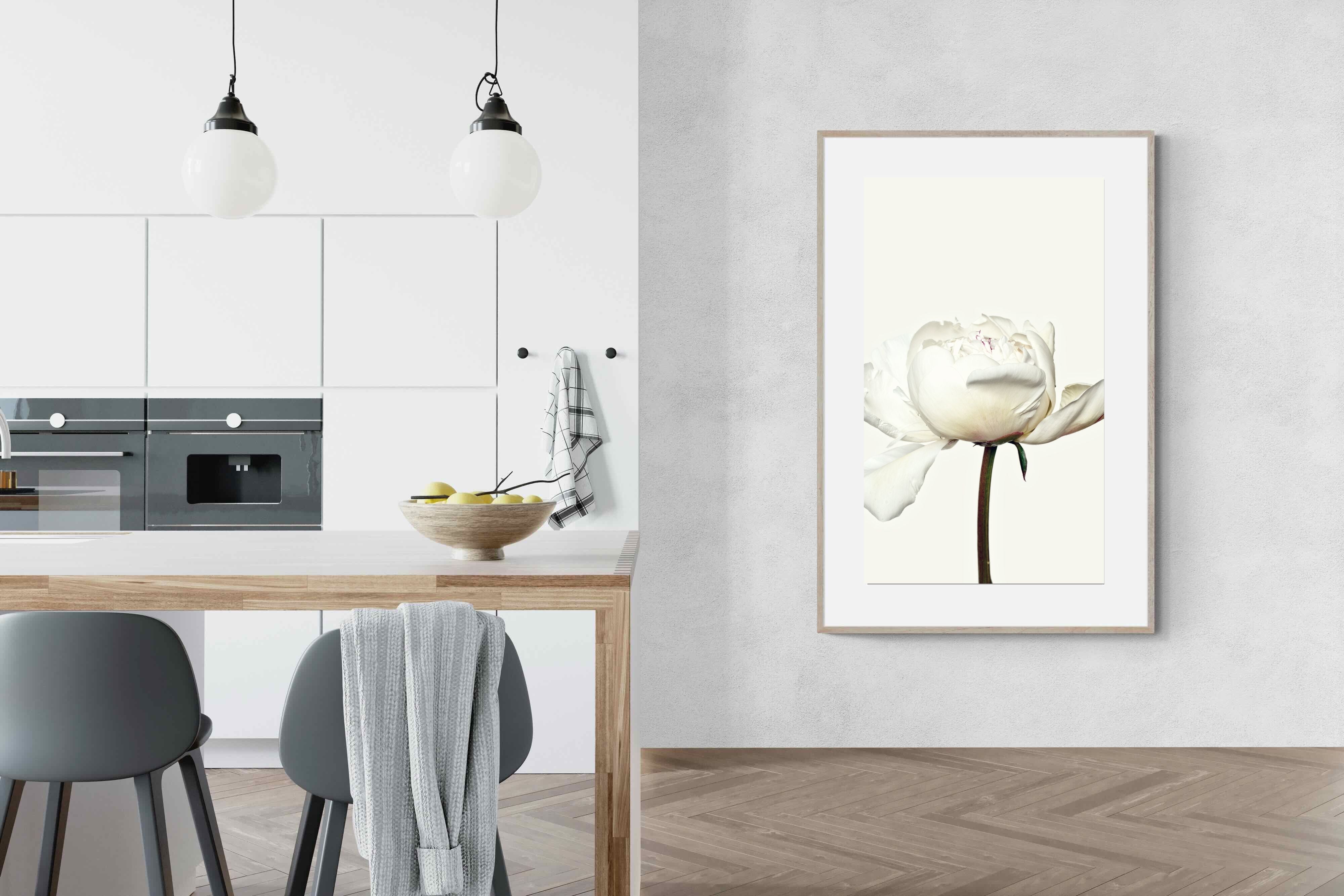 Pixalot White Peony