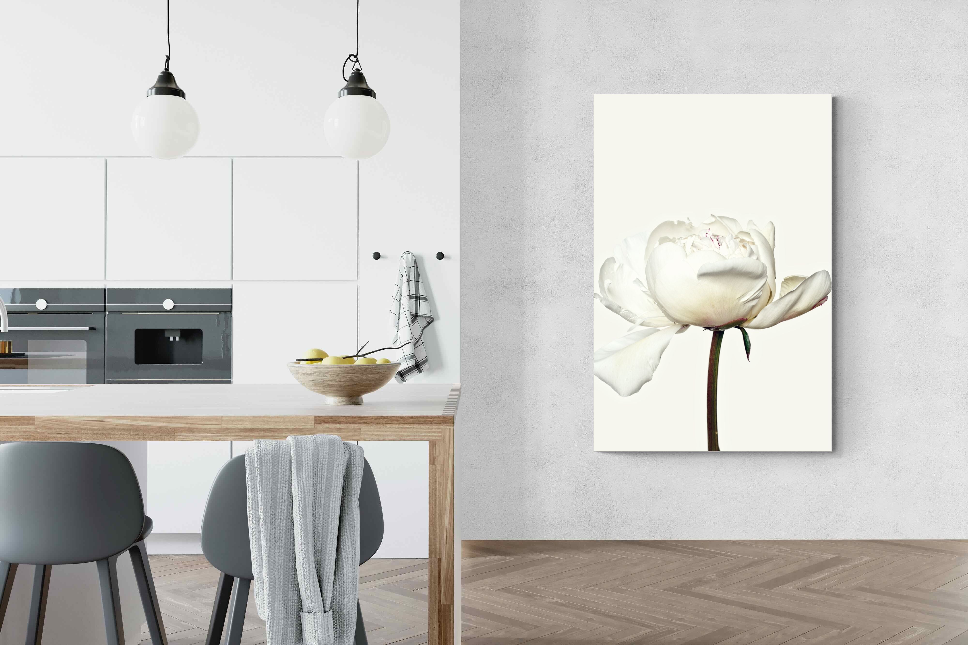 Pixalot White Peony