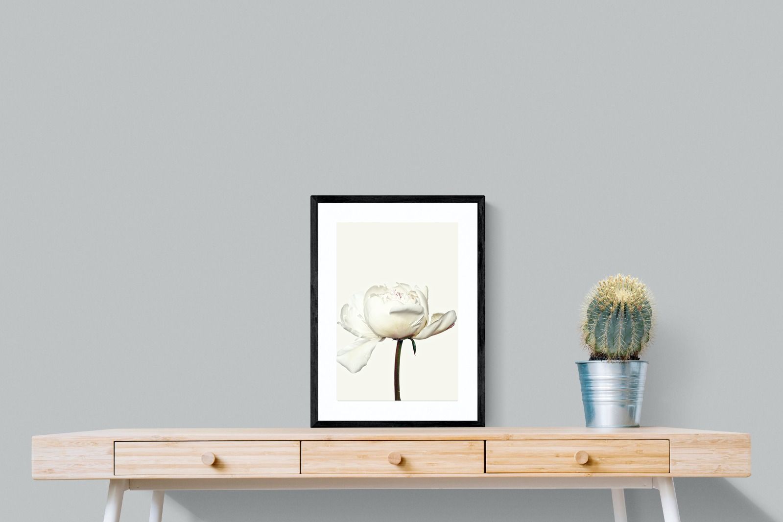 Pixalot White Peony