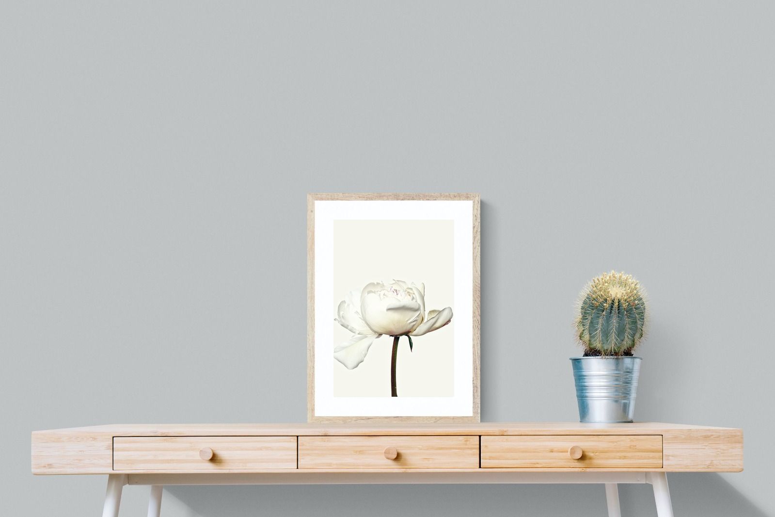 Pixalot White Peony