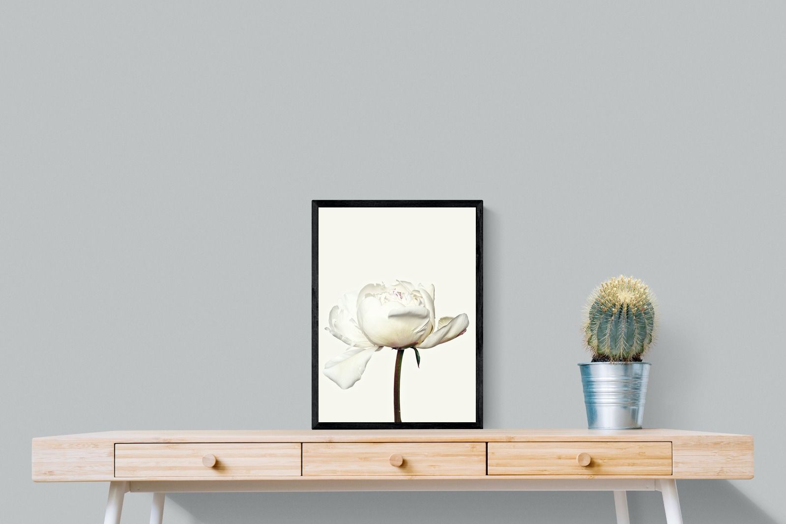 Pixalot White Peony