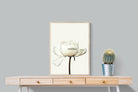Pixalot White Peony