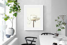 Pixalot White Peony