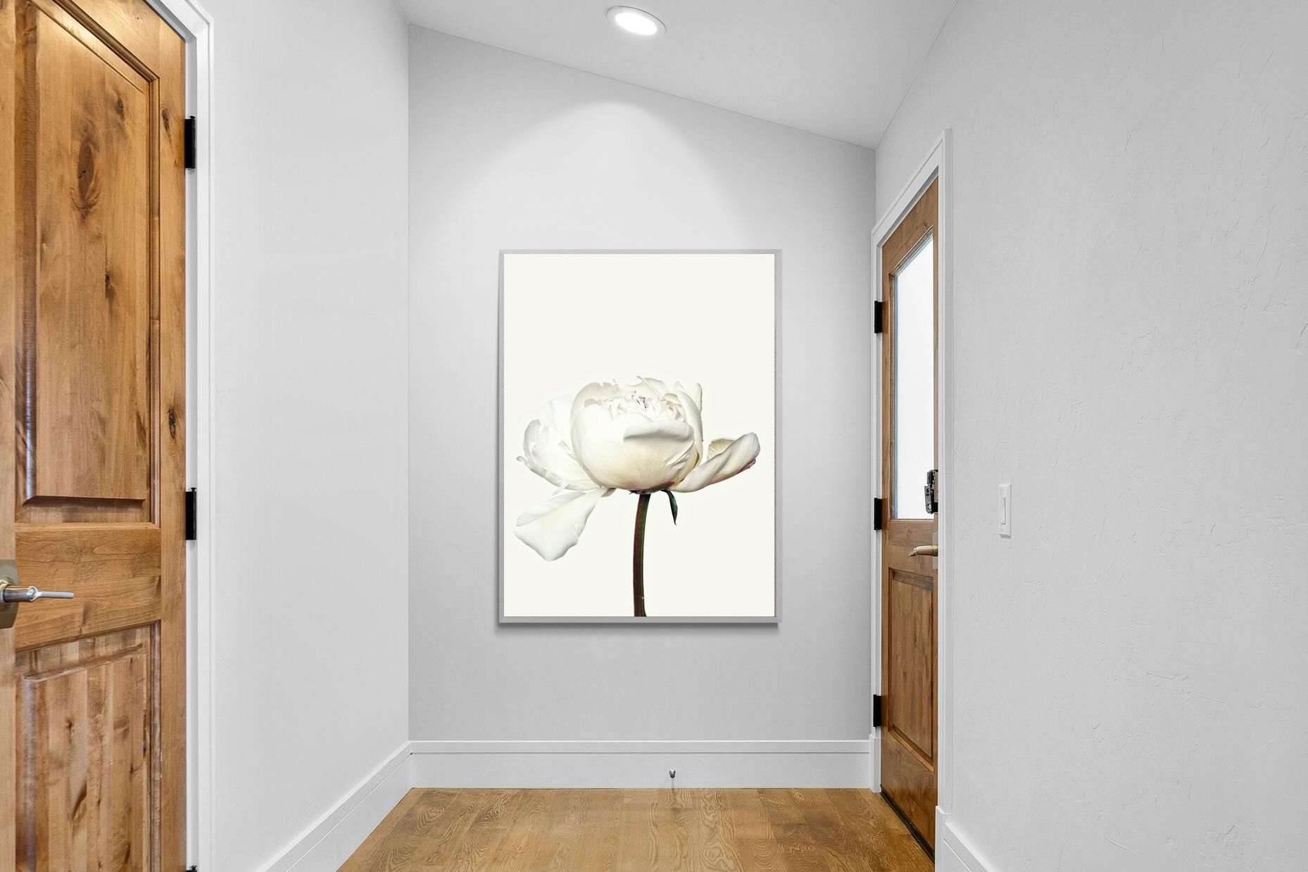 Pixalot White Peony