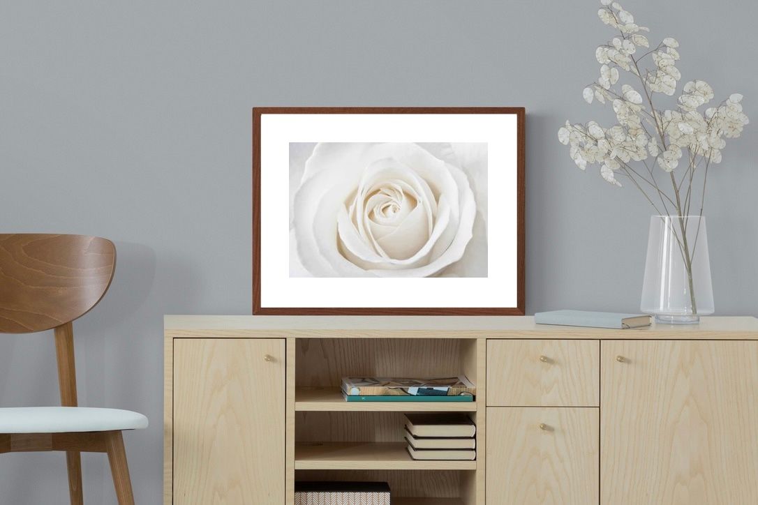 Pixalot ® White Rose