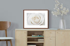 Pixalot ® White Rose