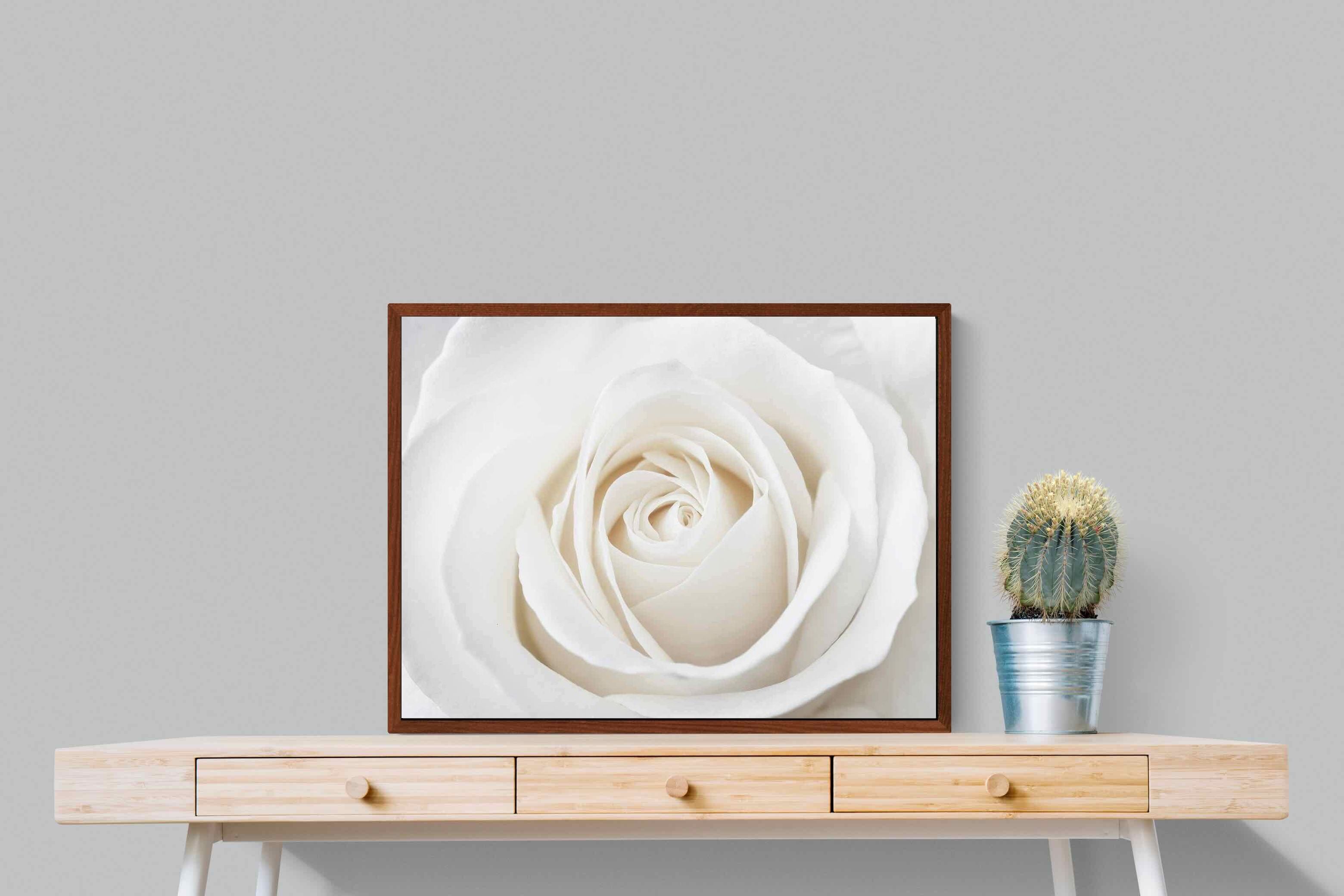 Pixalot ® White Rose