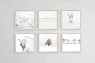 White Set-Wall_Art-40 x 40cm (x6)-Mounted Canvas-Wood-Pixalot