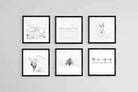 White Set-Wall_Art-30 x 30cm (x6)-Framed Print-Black-Pixalot