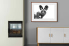 Pixalot ® Wild Dog