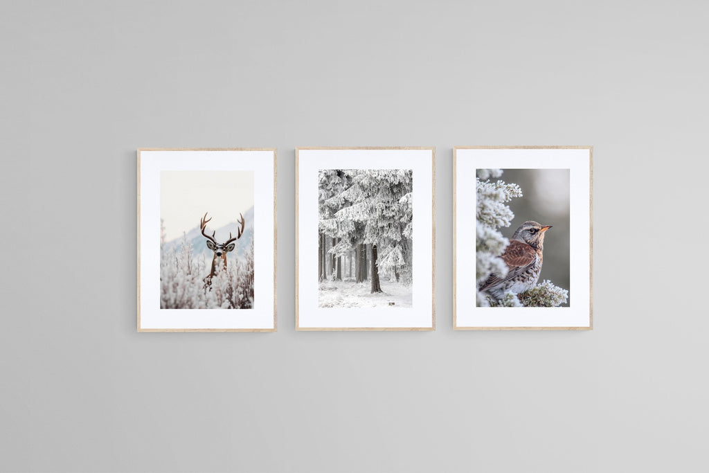 Winter Wonderland Set