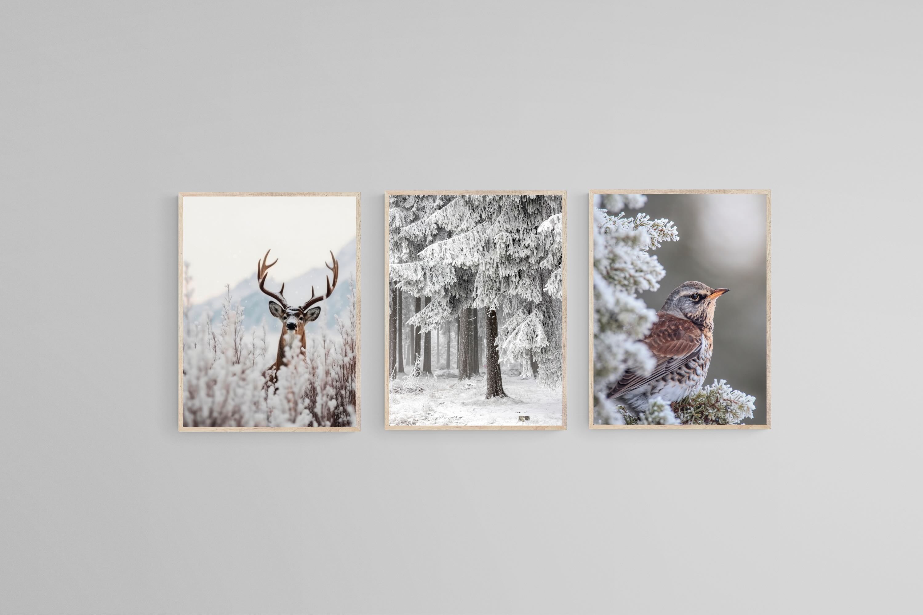 Winter Wonderland Set