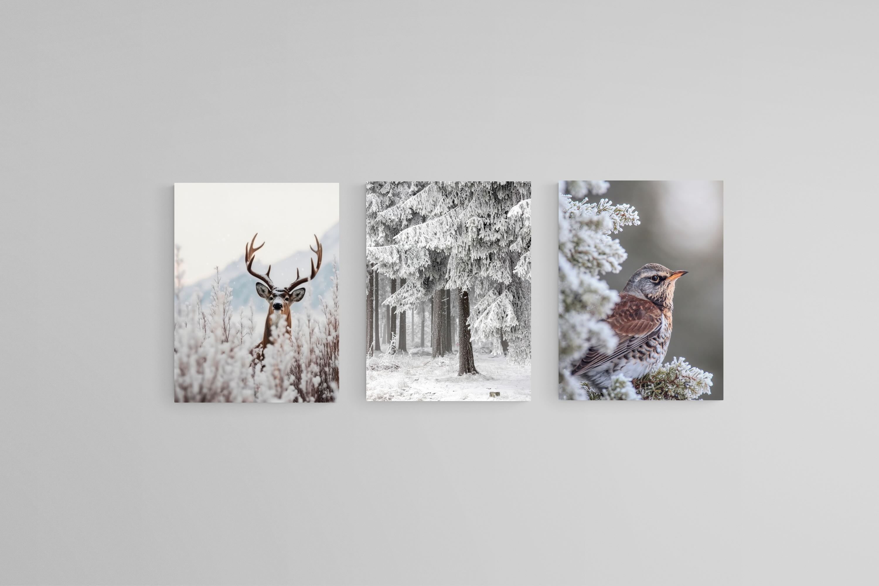 Winter Wonderland Set