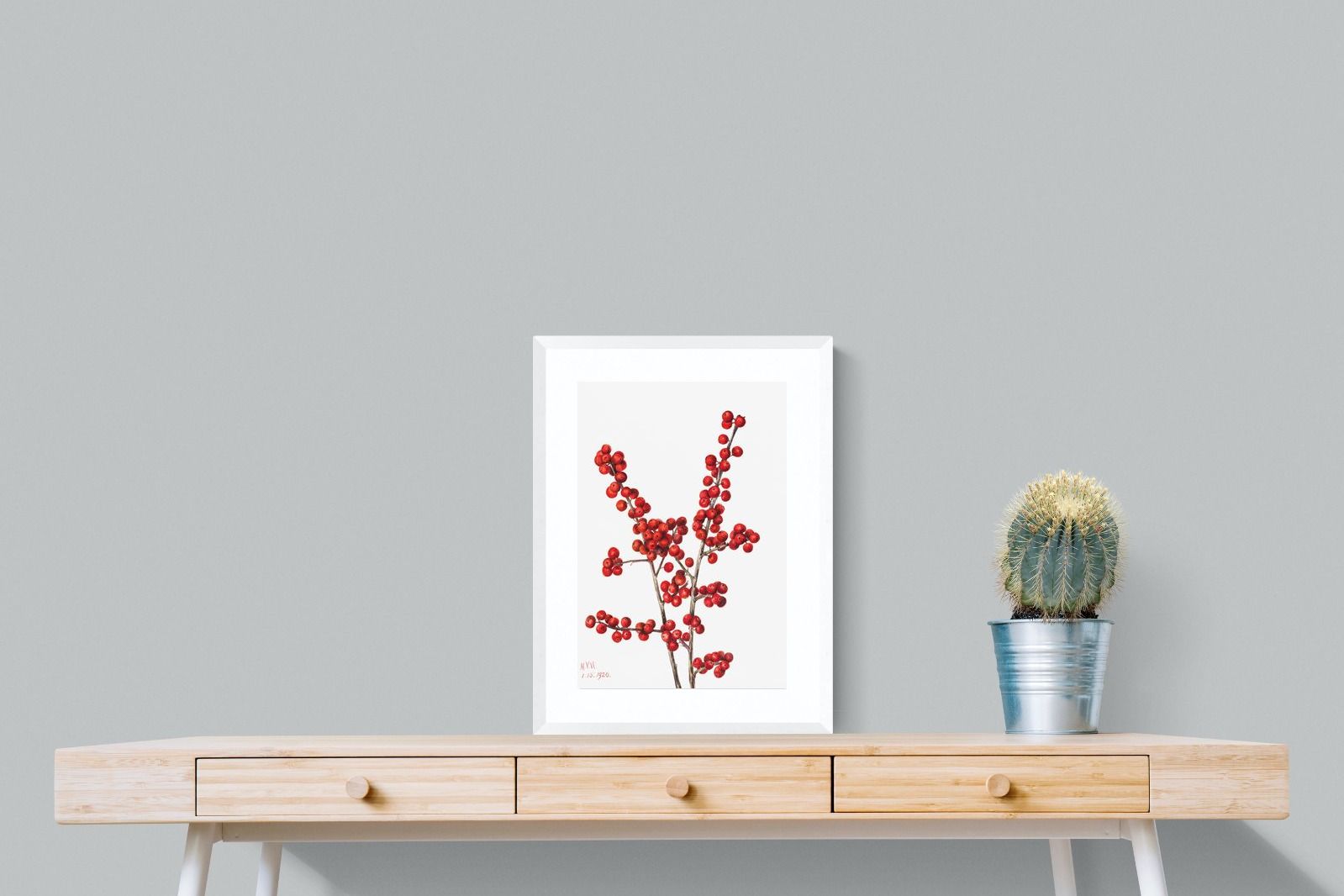 Pixalot Winterberry