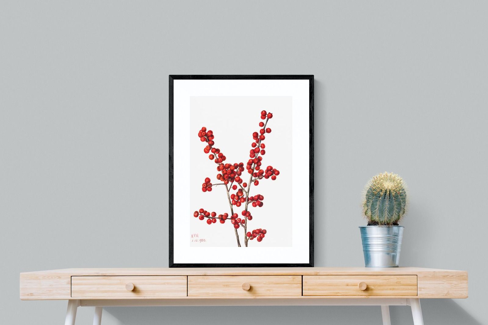 Pixalot Winterberry