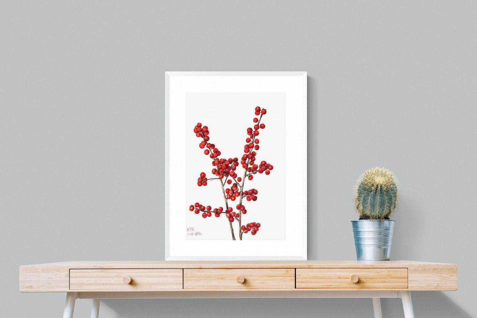 Pixalot Winterberry