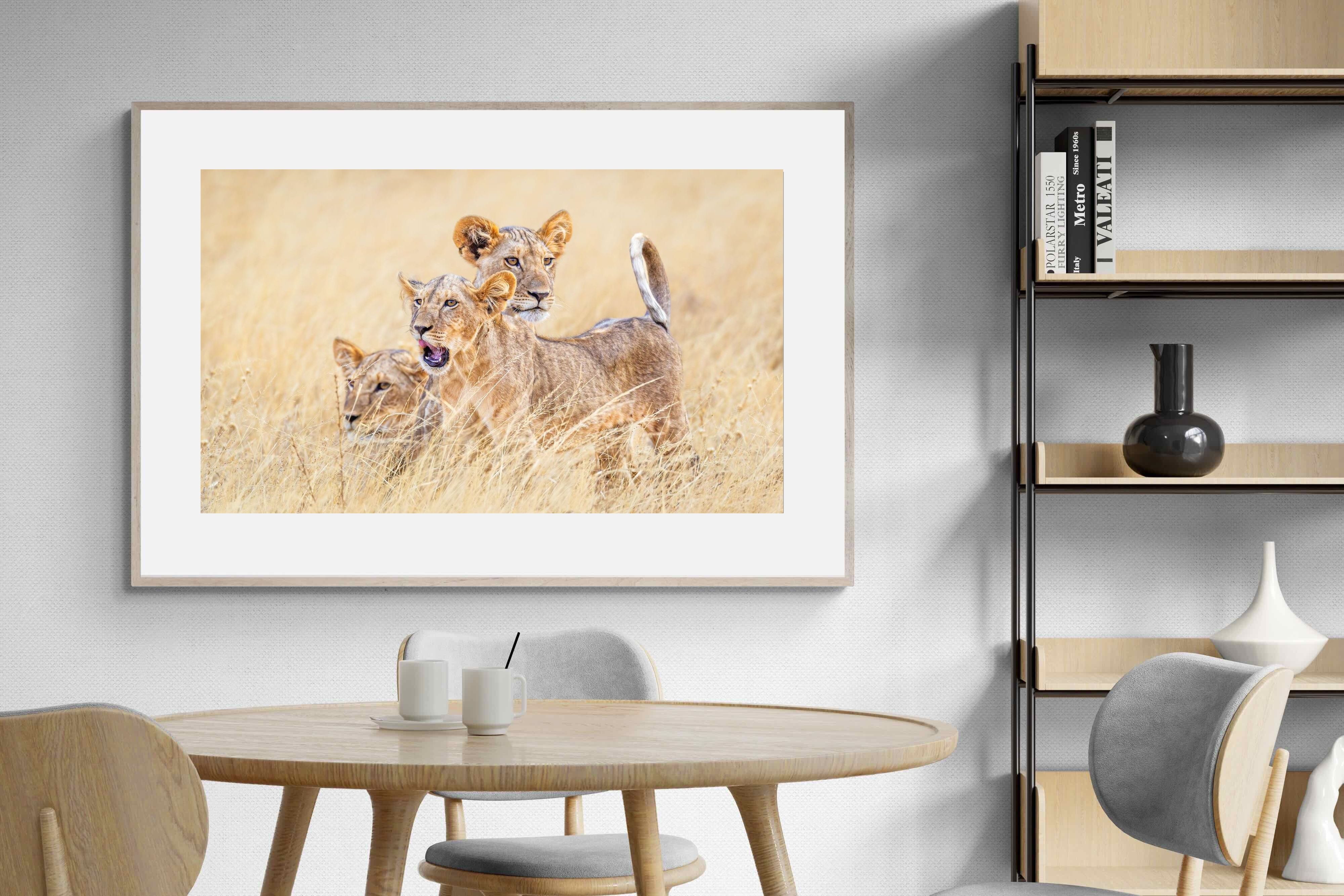 Pixalot Young Royals