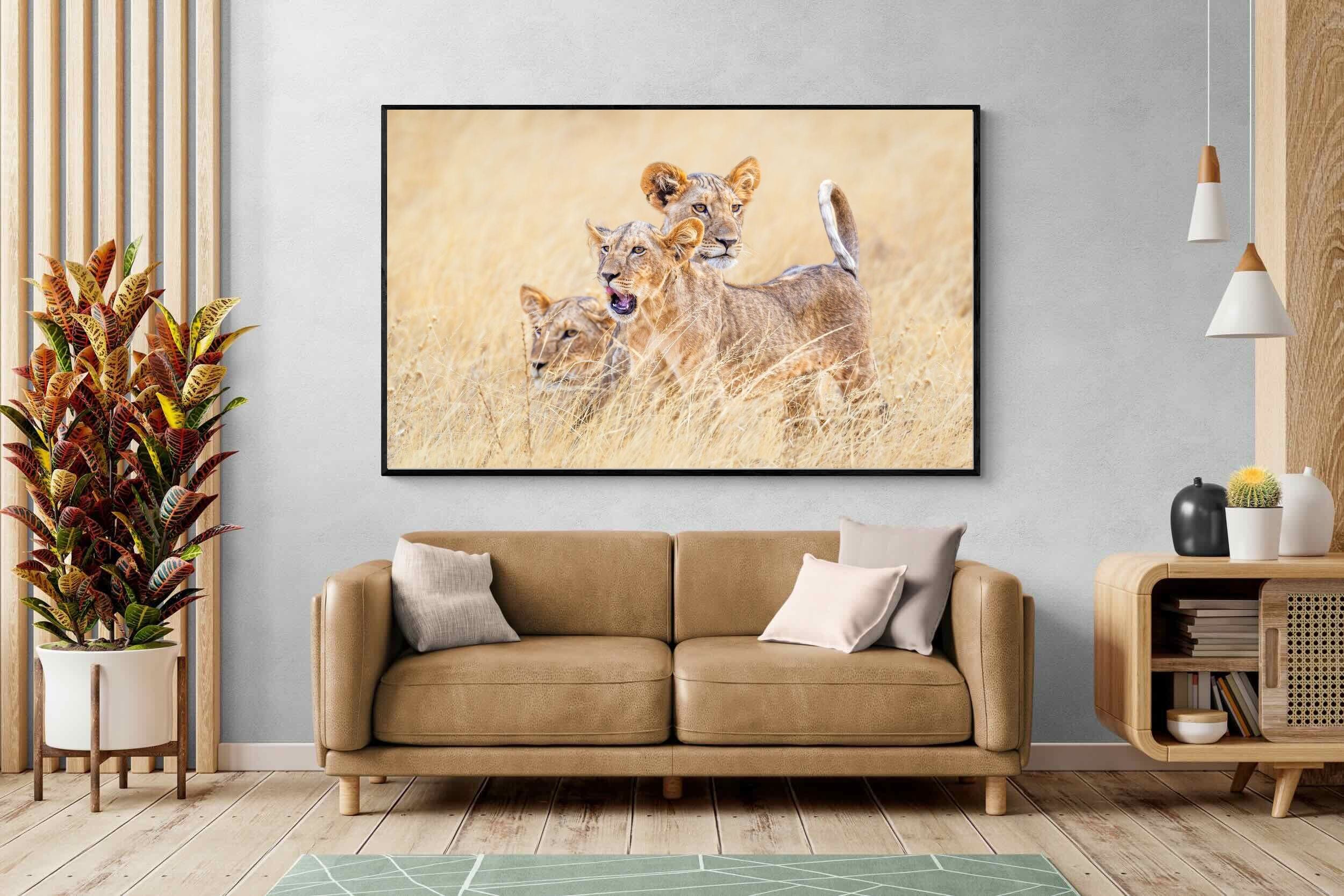 Pixalot Young Royals