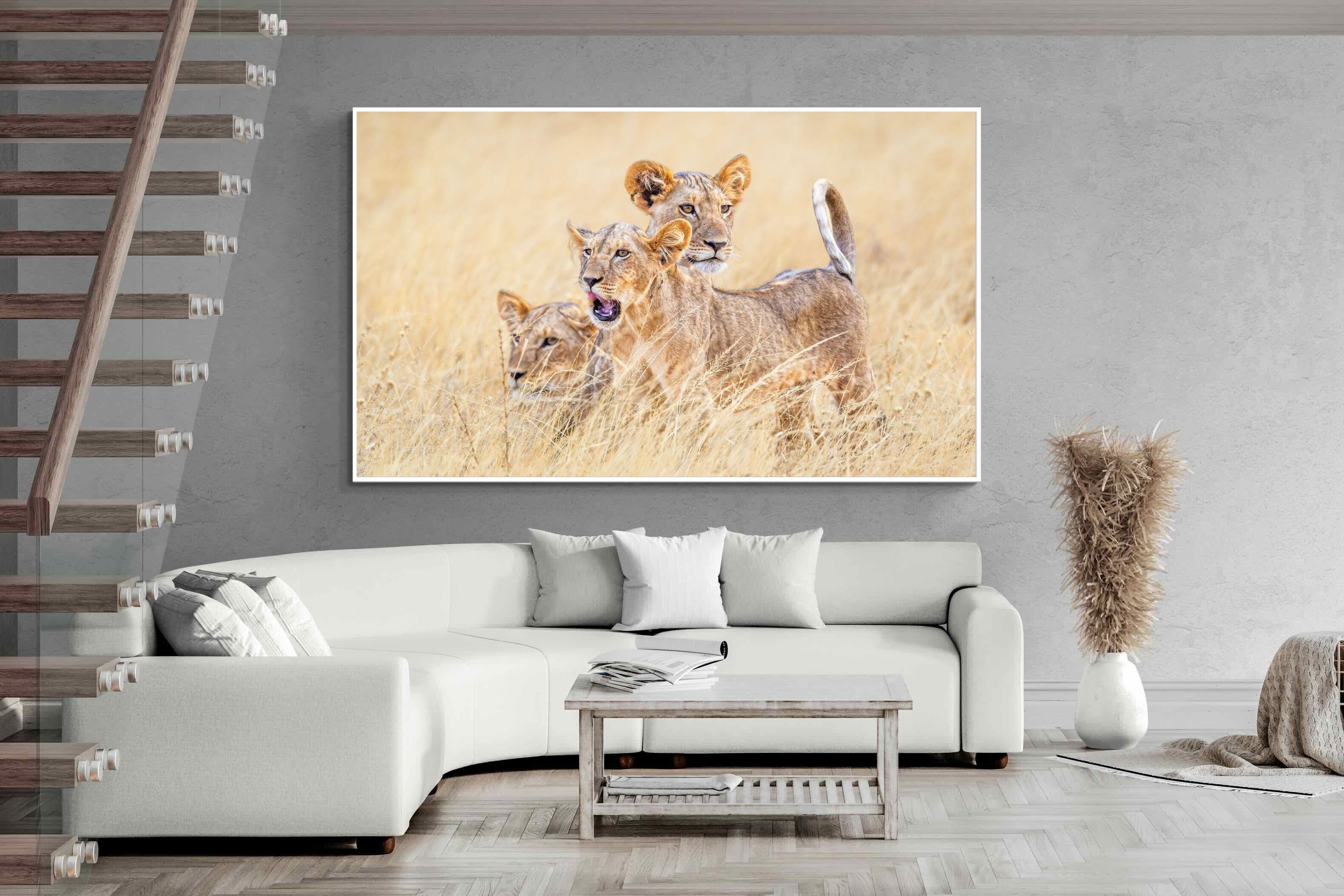 Pixalot Young Royals