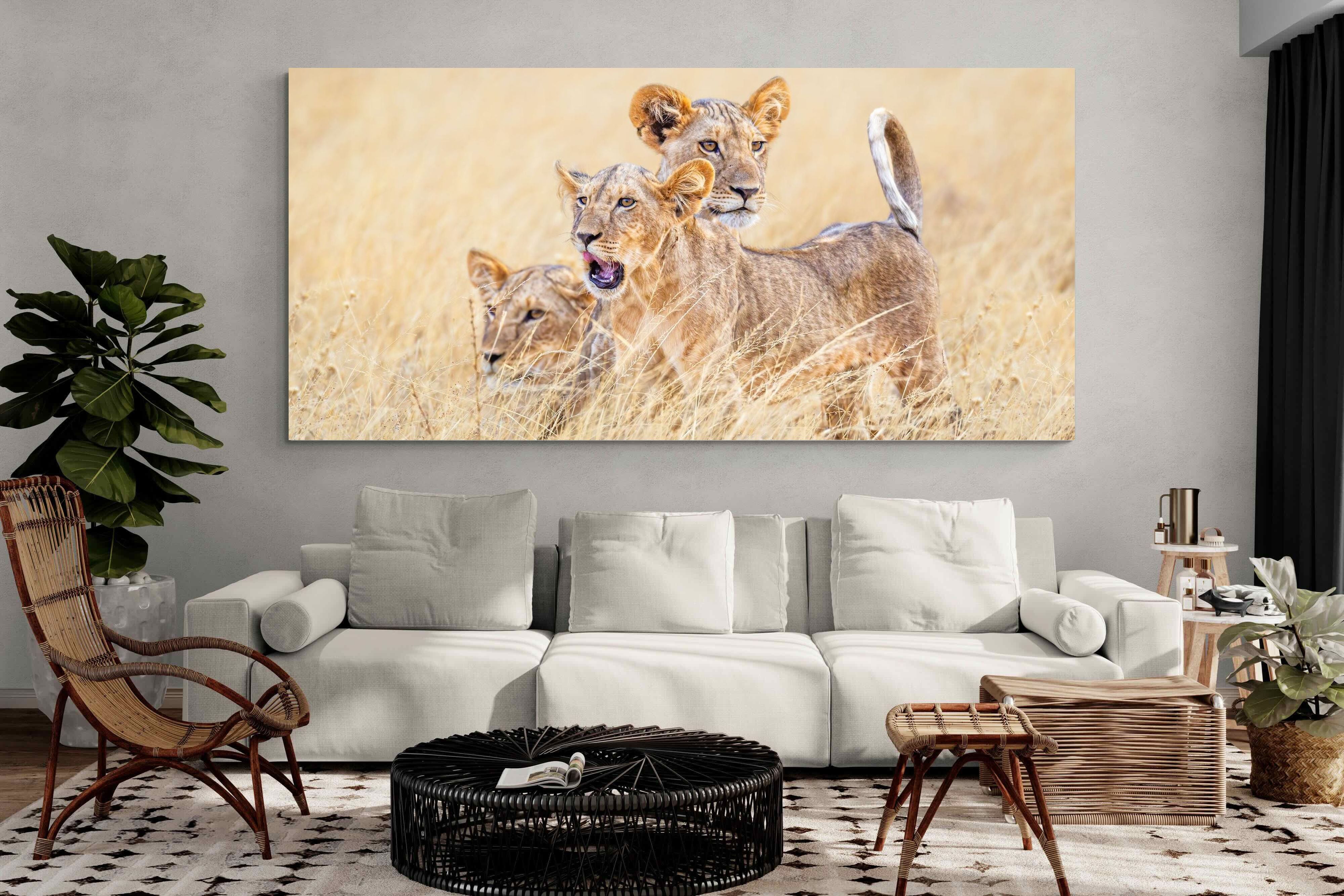 Pixalot Young Royals