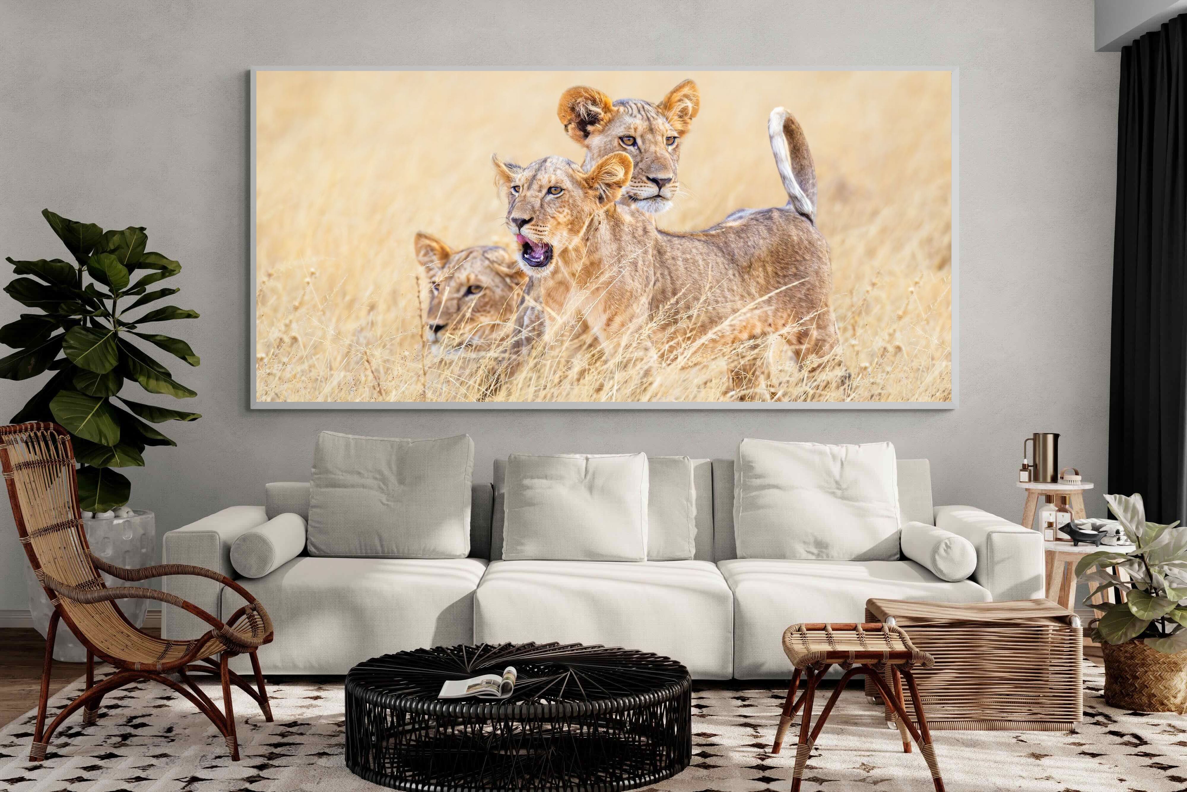 Pixalot Young Royals