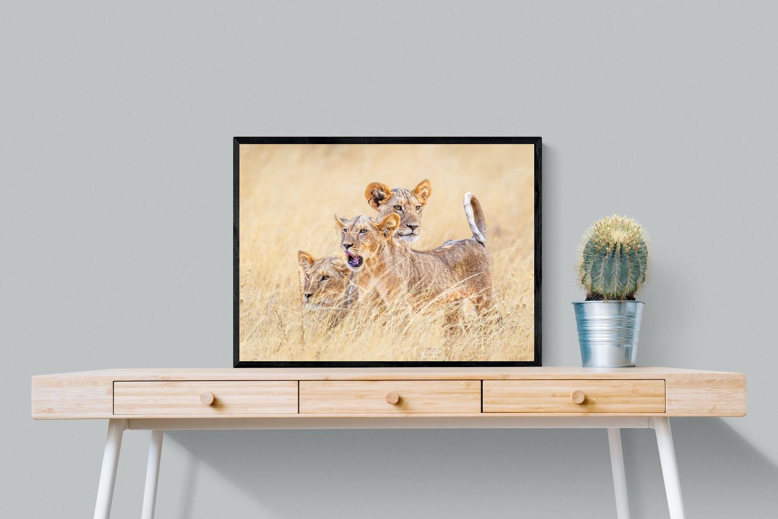 Pixalot Young Royals