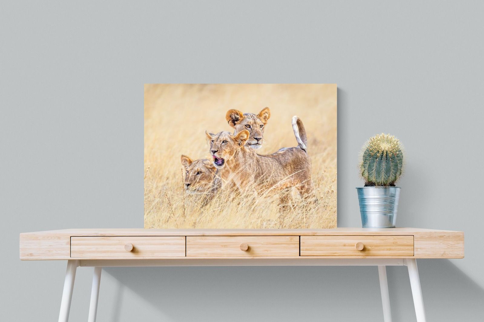 Pixalot Young Royals