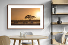 Pixalot ® Zebra at Dusk
