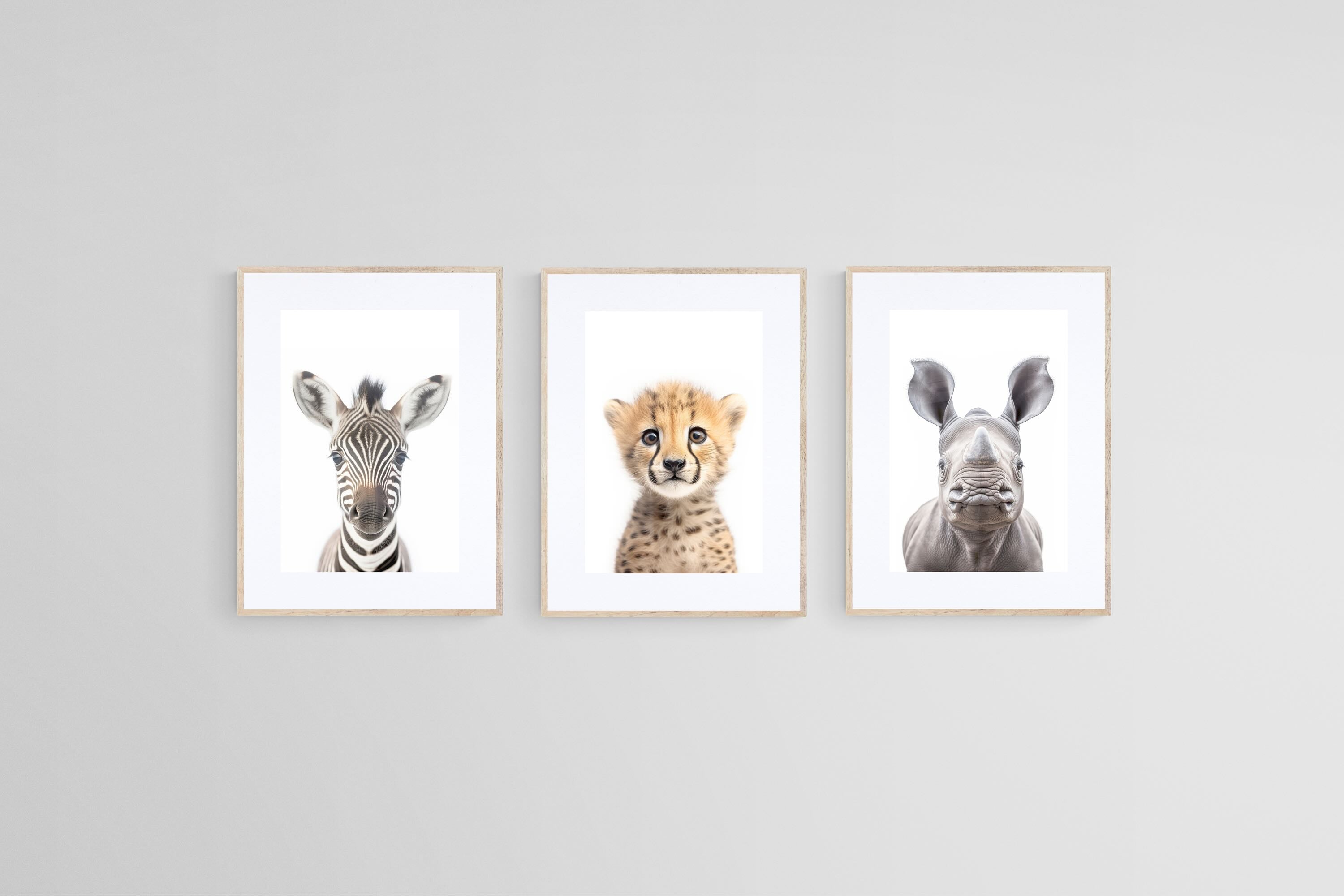 Zebra Cheetah Rhino Set-Wall_Art-45 x 60cm (x3)-Framed Print-Wood-Pixalot