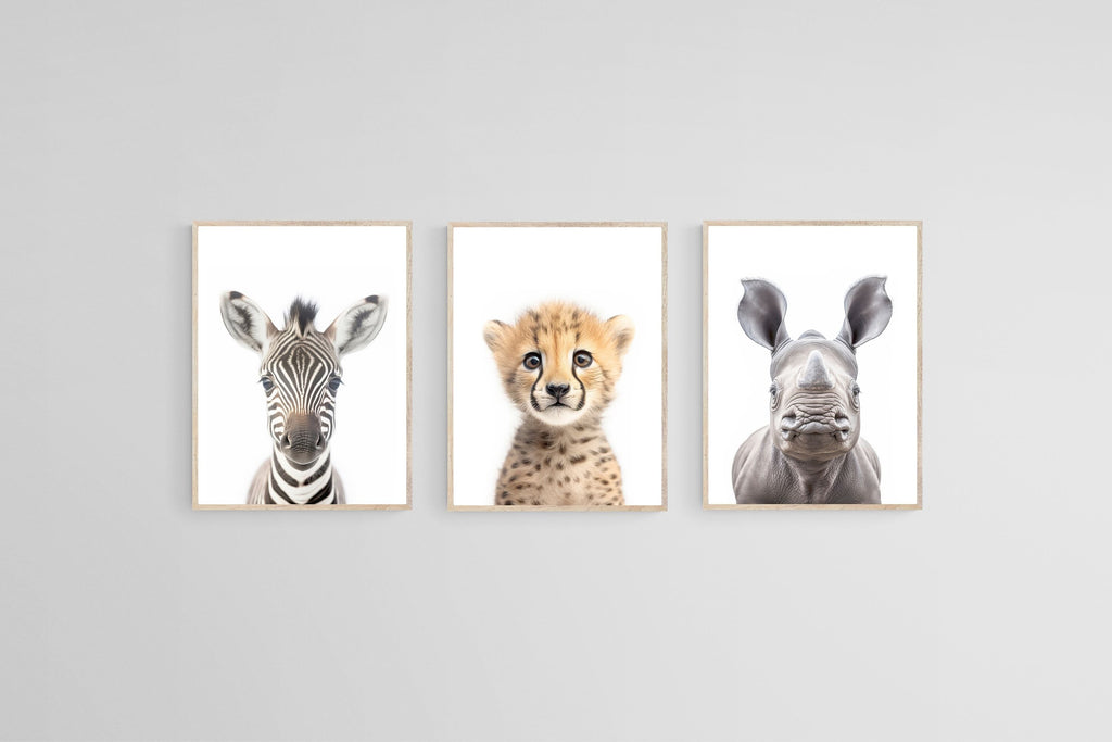 Zebra Cheetah Rhino Set-Wall_Art-45 x 60cm (x3)-Mounted Canvas-Wood-Pixalot