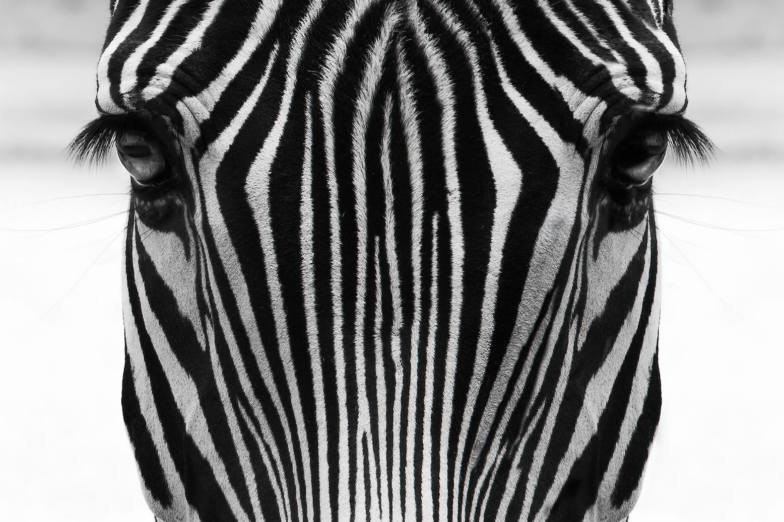 Dragable Image