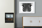 Pixalot Zebra Gaze