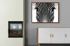 Pixalot Zebra Gaze