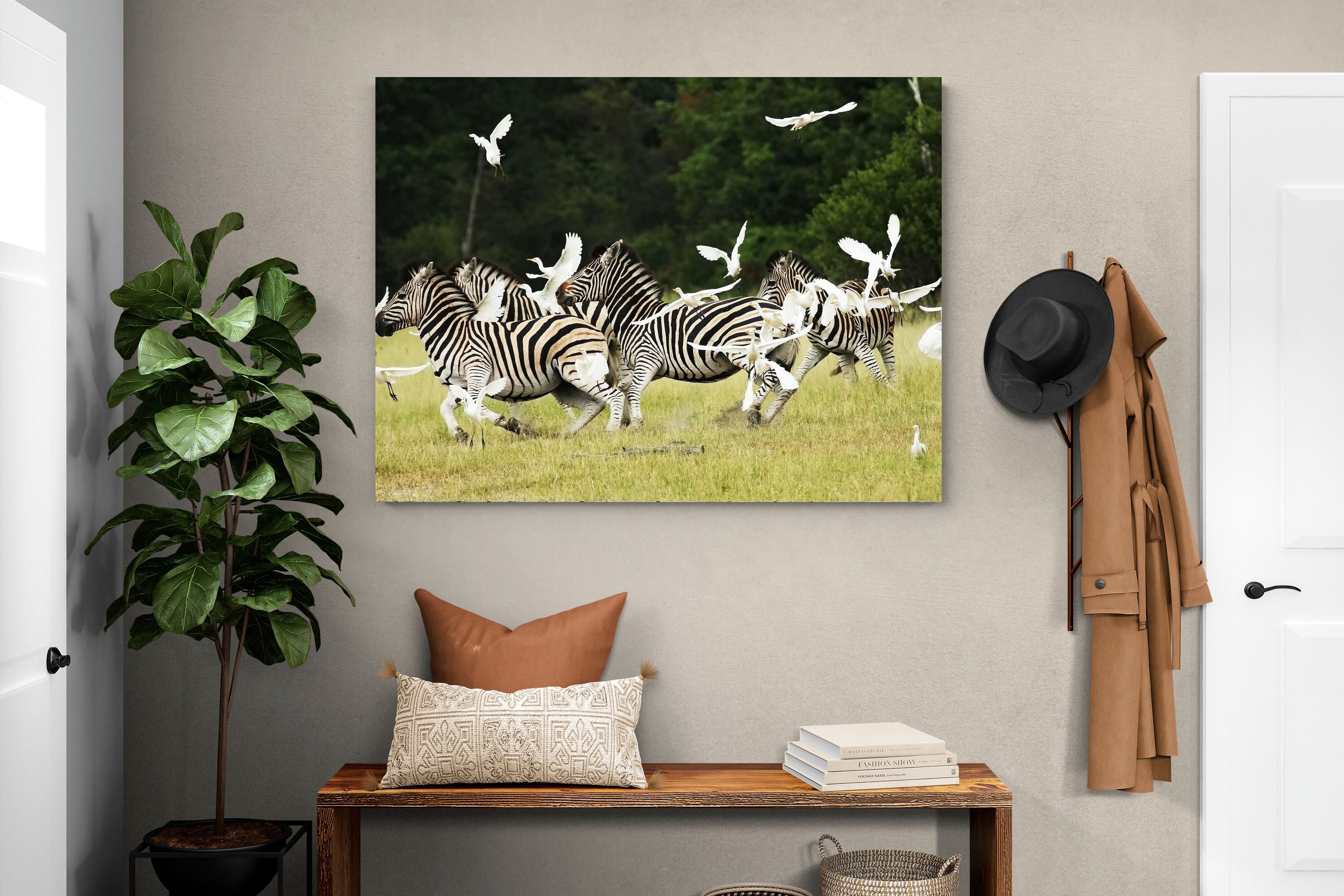 Pixalot Zebra & Herons (colour)
