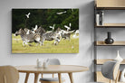 Pixalot Zebra & Herons (colour)
